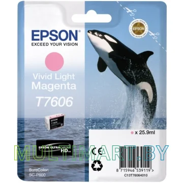 Картридж Epson C13T76064010